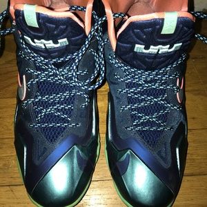Lebron James Nikes